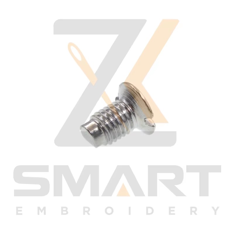 100 পিসি সুই প্লেট স্ক্রু 511554010000 EG022800000000 এসএম 201108CA00 এমব্রয়ডারি মেশিন পার্টস বি 02-আর 0502